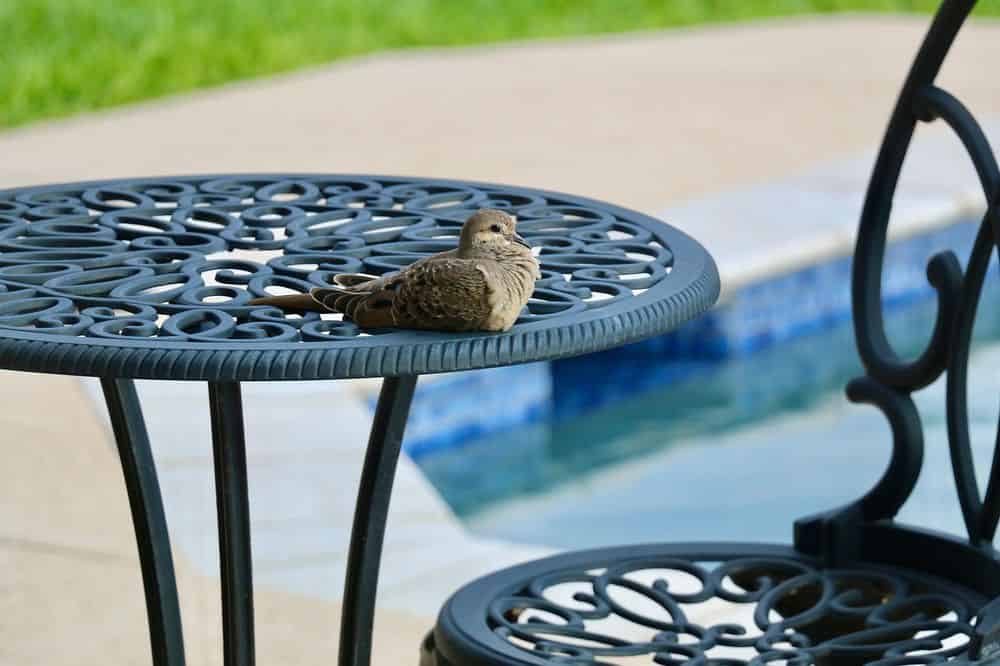 Patio Cleaning image